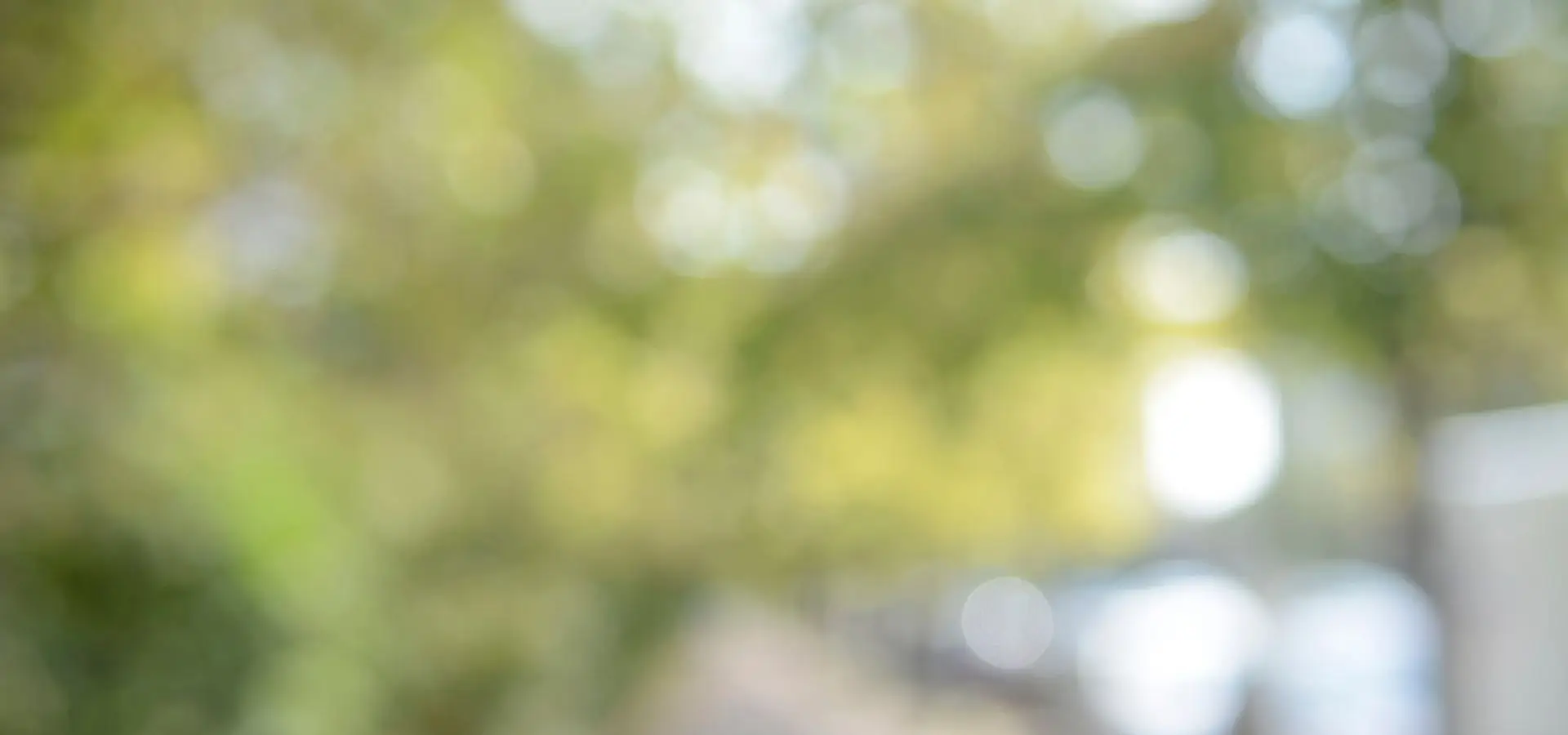 Historisches Schloss in Abendstimmung - EventWerk Company